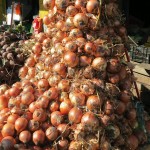 Onions - A Love Hate Story for Indian Consumers