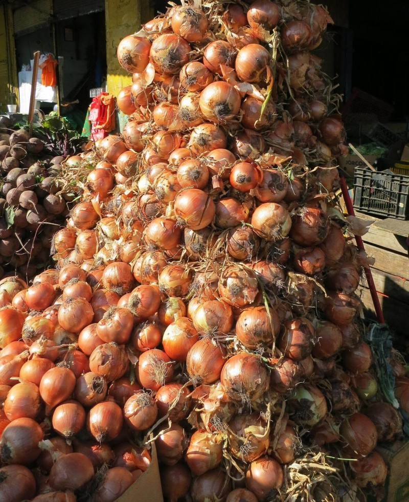 Onions - A Love Hate Story for Indian Consumers